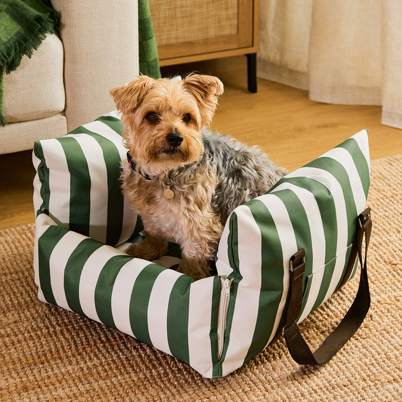 Pet Travel Bed - Small - Stripe Green