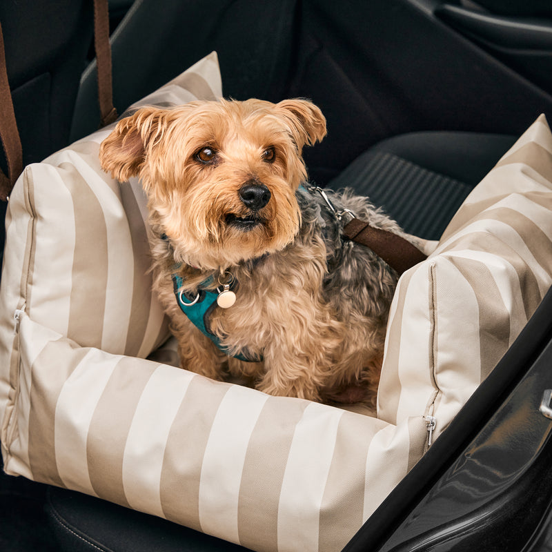 Pet Travel Bed - Small - Stripe Natural
